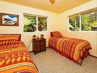 Cymbidium Cottage