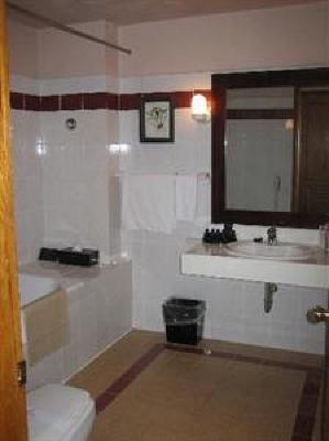 фото отеля De Syloia Hotel