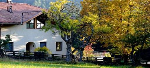 фото отеля Villa Tilia