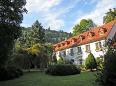 фото отеля Familienhotel Thalmühle