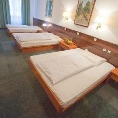 фото отеля Hotel Slovenj Gradec