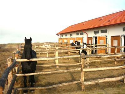 фото отеля Biofarm Panzio Kajaszo