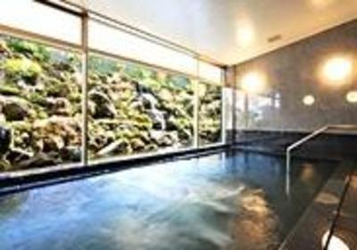 фото отеля Hotel Diasmont Niigatanishi