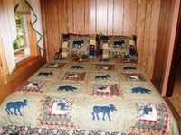 Cozy Cabins