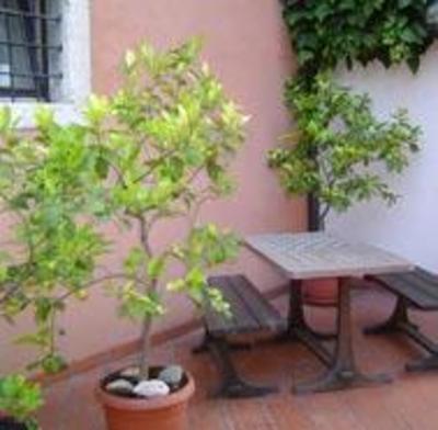 фото отеля Residence Concaverde Hotel Pomarolo