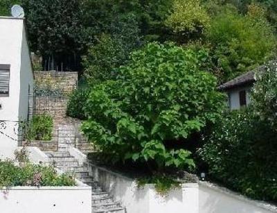 фото отеля La Villa du Rhone