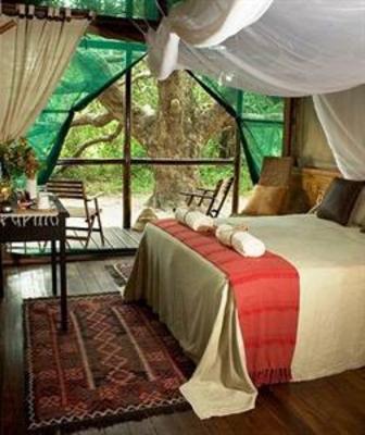фото отеля Kosi Forest Lodge Manguzi