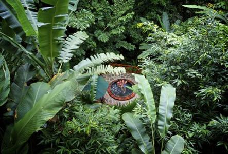 фото отеля Arenal Nayara Hotel and Gardens La Fortuna