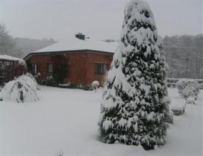 фото отеля Bed & Breakfast La Terre Aux Briques Jalhay
