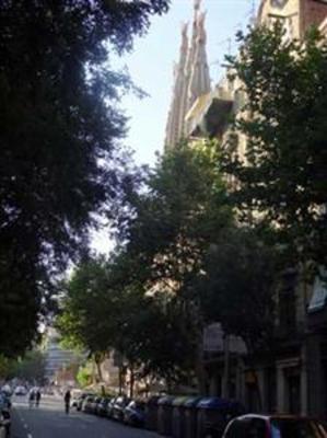 фото отеля Ole Barcelona Hostel