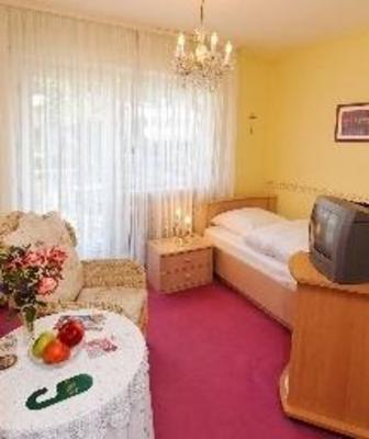 фото отеля Hotel Garni Regina Gossweinstein