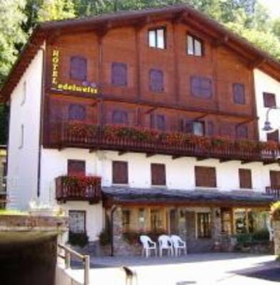 фото отеля Hotel Edelweiss Courmayeur