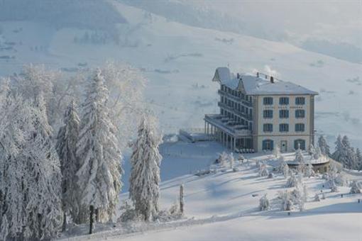 фото отеля Hotel Villa Honegg Ennetburgen