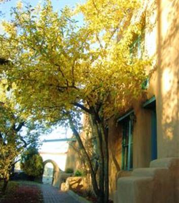 фото отеля Pueblo Bonito Bed & Breakfast Inn