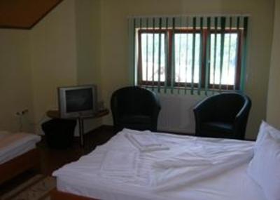 фото отеля Pensiunea Casa Soricelu Sacele