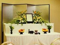 Hotel New Tanda