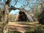 фото отеля Masorini Bush Lodge
