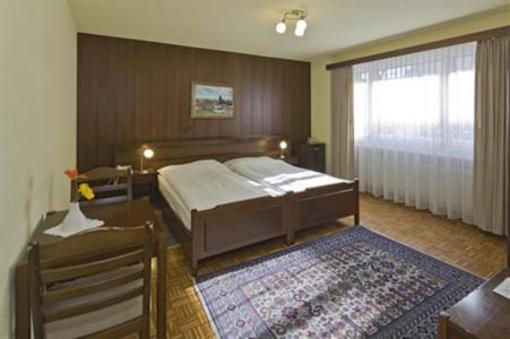 фото отеля Hotel Europe Brig (Switzerland)