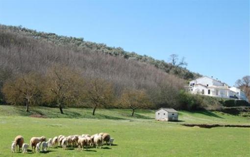 фото отеля Los Pozos de la Nieve Apartment Constantina