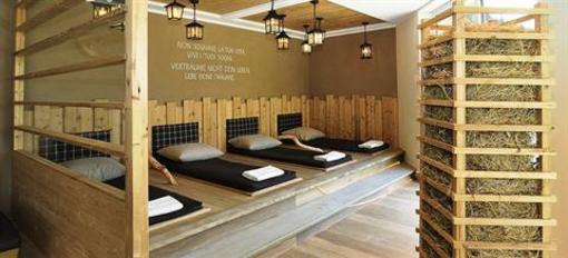 фото отеля Hotel Chalet Dlaces