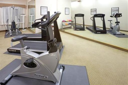 фото отеля Holiday Inn Express Hotel & Suites Dallas Grand Prairie