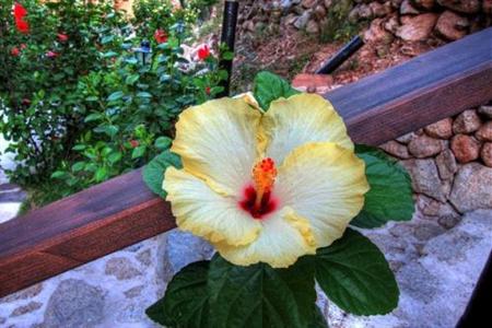 фото отеля Cannamele Resort Parghelia