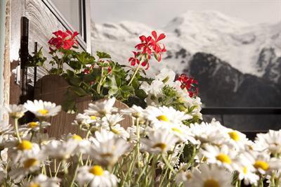 фото отеля Hotel La Chaumiere Chamonix-Mont-Blanc