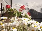 фото отеля Hotel La Chaumiere Chamonix-Mont-Blanc