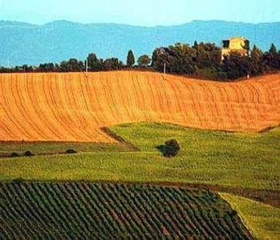 фото отеля Tenuta Di Canonica Hotel Todi