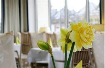 фото отеля Ringhotel Ostseehotel Ahlbeck (Usedom)