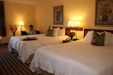фото отеля Hampton Inn Tampa-Veterans Expressway/Waters Avenue