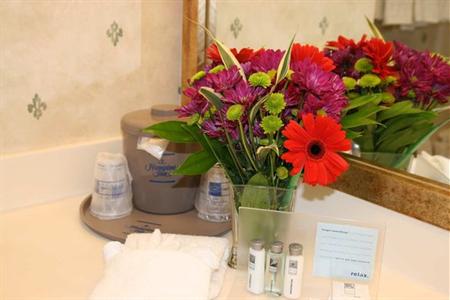 фото отеля Hampton Inn Tampa-Veterans Expressway/Waters Avenue