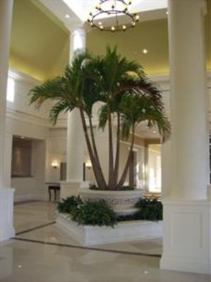 фото отеля Hilton Garden Inn Palm Beach Gardens