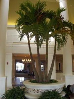 фото отеля Hilton Garden Inn Palm Beach Gardens