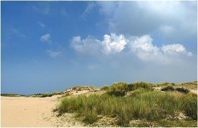 фото отеля Buitengoed HagenHorst