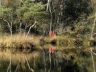 фото отеля Buitengoed HagenHorst