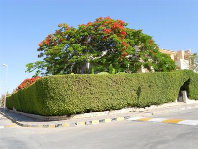 фото отеля Villa Marina Egypt