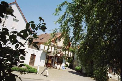 фото отеля Hotel El Gallo