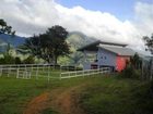 фото отеля Pineridge Bucari Mountain Resort