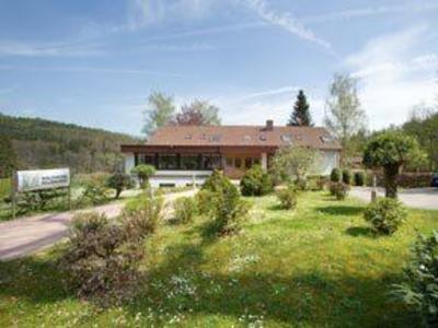 фото отеля Waldhotel Sulzbachtal