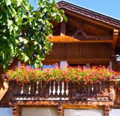 фото отеля Bauernhof Xanderhof