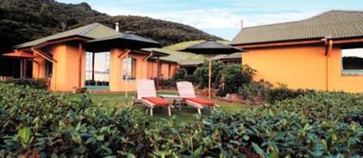 фото отеля Earthsong Lodge Great Barrier Island