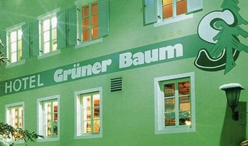 фото отеля Hotel Gruner Baum Brixen