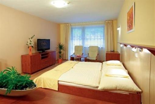 фото отеля Wellness Hotel Rezidence Ambra