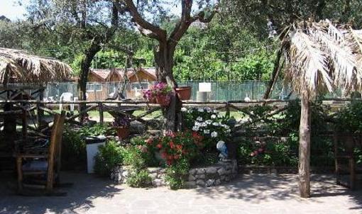 фото отеля Agriturismo La Chiana
