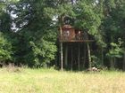 фото отеля Le Nid dans l'Arbre