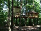 фото отеля Le Nid dans l'Arbre