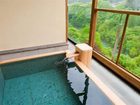 фото отеля Kinugawa Kanaya Hotel Nikko