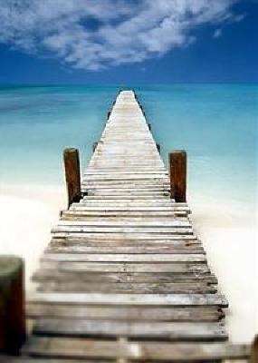 фото отеля Club Peace & Plenty Exuma Island