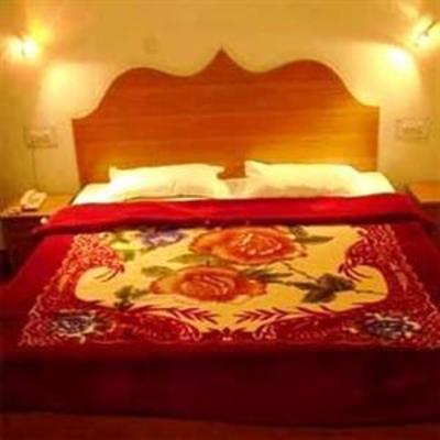 фото отеля Neha Palace
